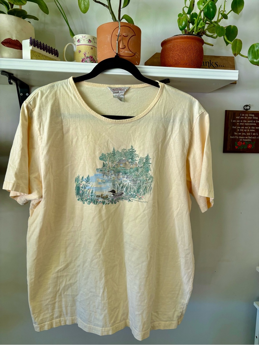 Northern Reflections Scenic Duck Pond Graphic Tee in Pale Yellow